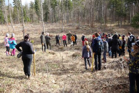 POGOZDOVANJE V RAKOVEM ŠKOCJANU 14 FOTO LJUBO VUKELIČ